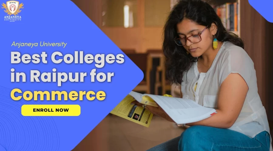 Best Colleges in Raipur for Commerce