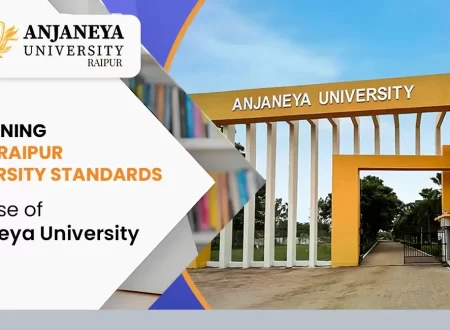 Naya Raipur University